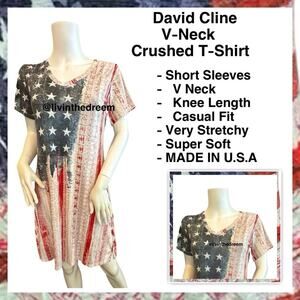 NWT David Cline V-Neck Short Sleeve T-Shirt Dress SZ Small Patriotic $119